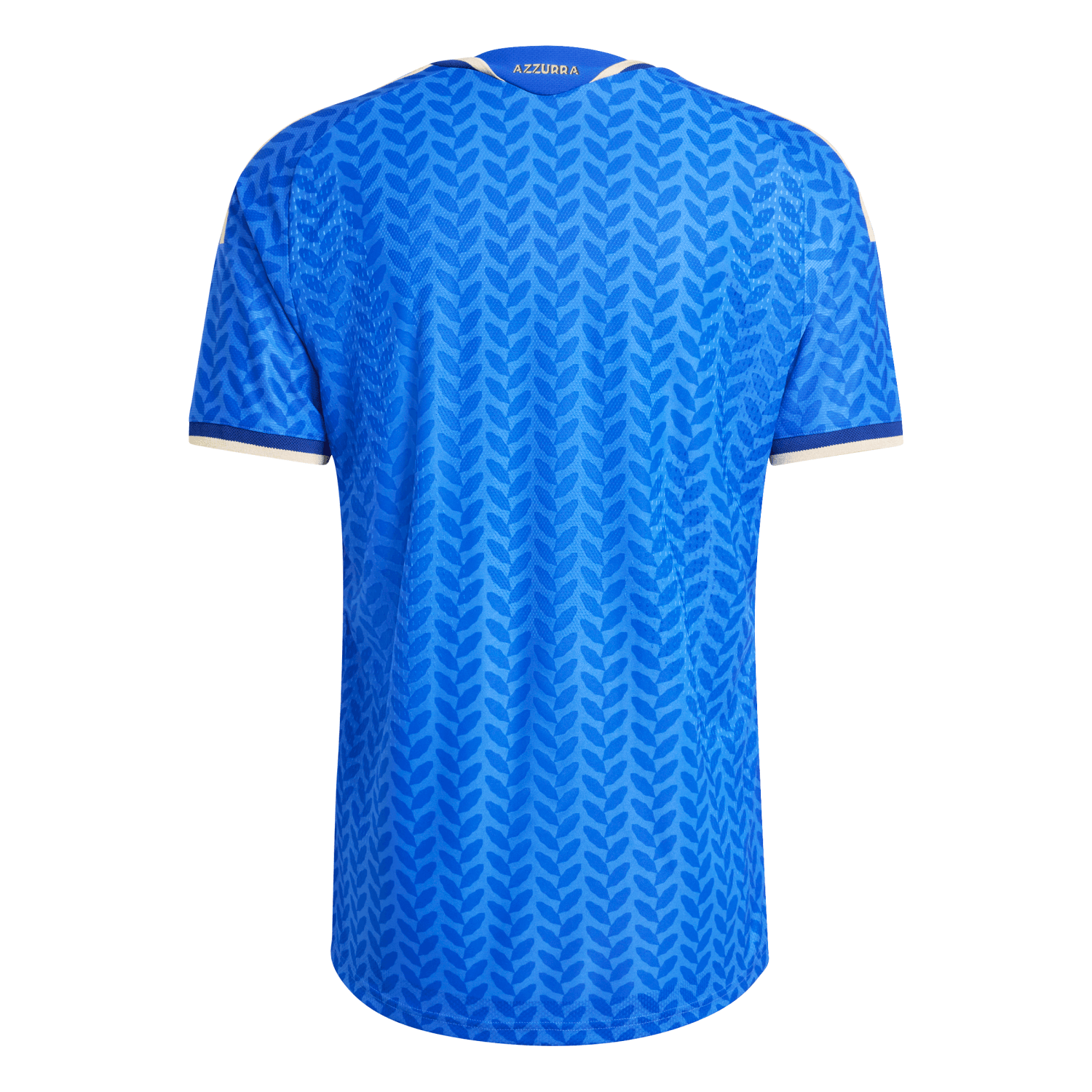 Maillot Authentique Domicile Italy 2026 - Homme